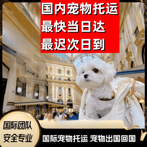 银川到澳大利亚（澳洲）宠物入境规定和要求